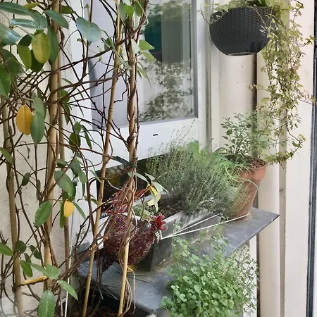 Architecte 60 M2 Batignoles Apartment *